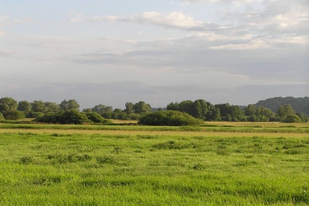Mooslandschaft Freisinger Moos