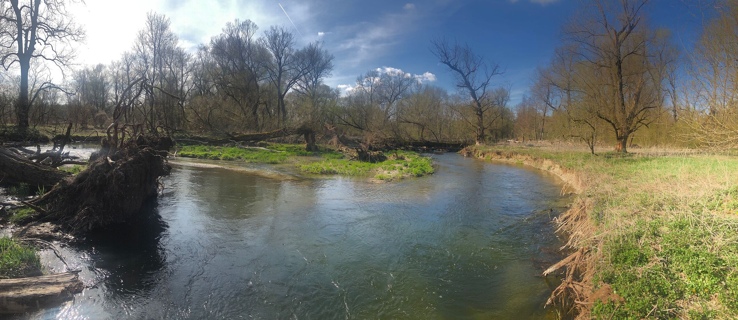 In diese alte Flutrinne zweigt ein Teil der Amper ab und mündet in einigen hundert Metern in die Isar (Foto: W. Lorenz)